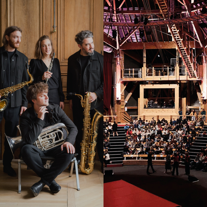 Formes instables de gravité Académie Fratellini Saint-Denis