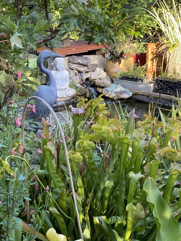 Françoise vous ouvre son jardin et vous fera partager expérience