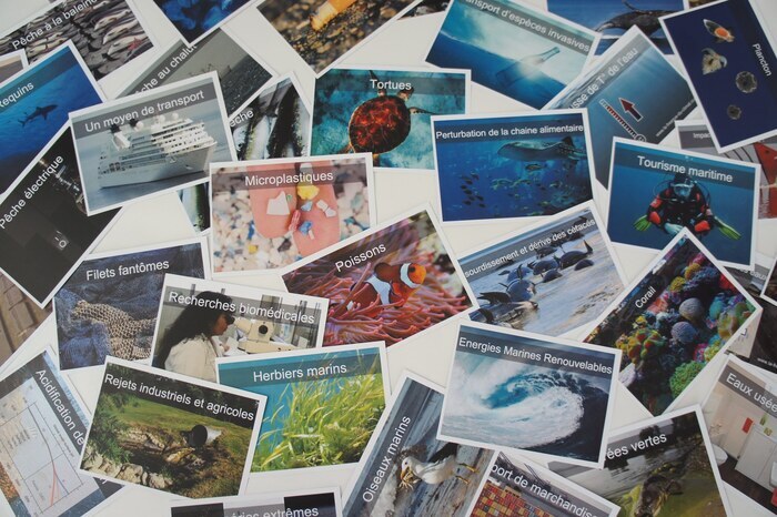 Fresque océane citoyenne avec La Fresque Océane, Maison écocitoyenne, Bordeaux