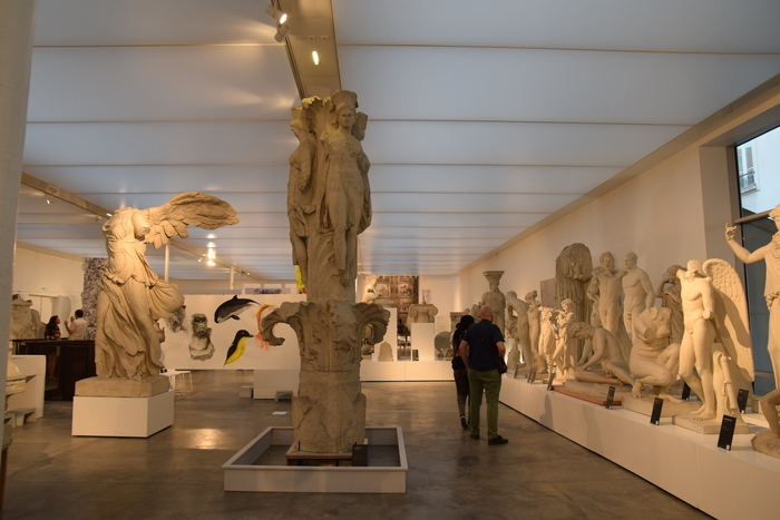 Frontière(s) Musée des moulages (MuMo) Lyon