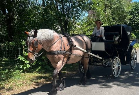 Gargantua en calèche  Seuilly 2026-05-23