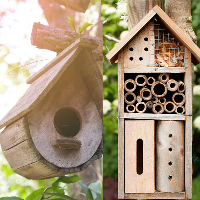 Gîte et couvert, La Source, Roncq