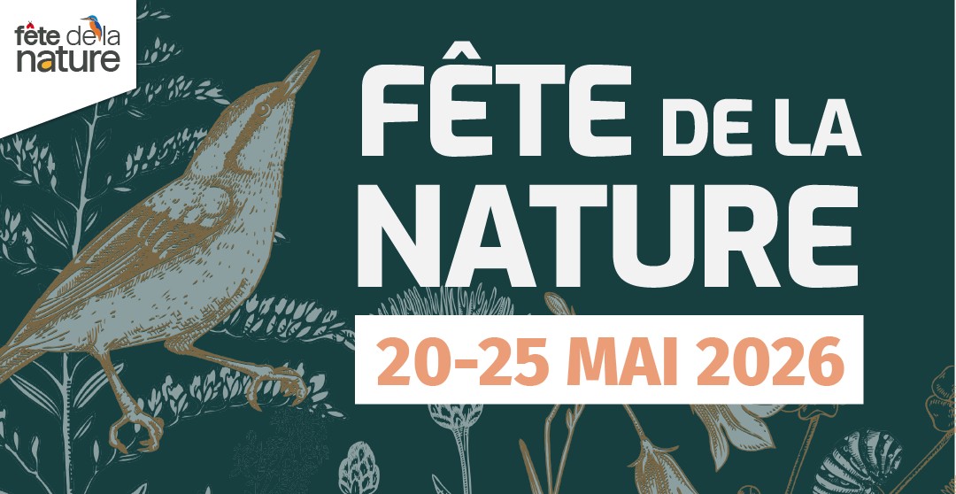 Goûter ludique et artistique autour de la nature  Aire-sur-l&rsquo;Adour