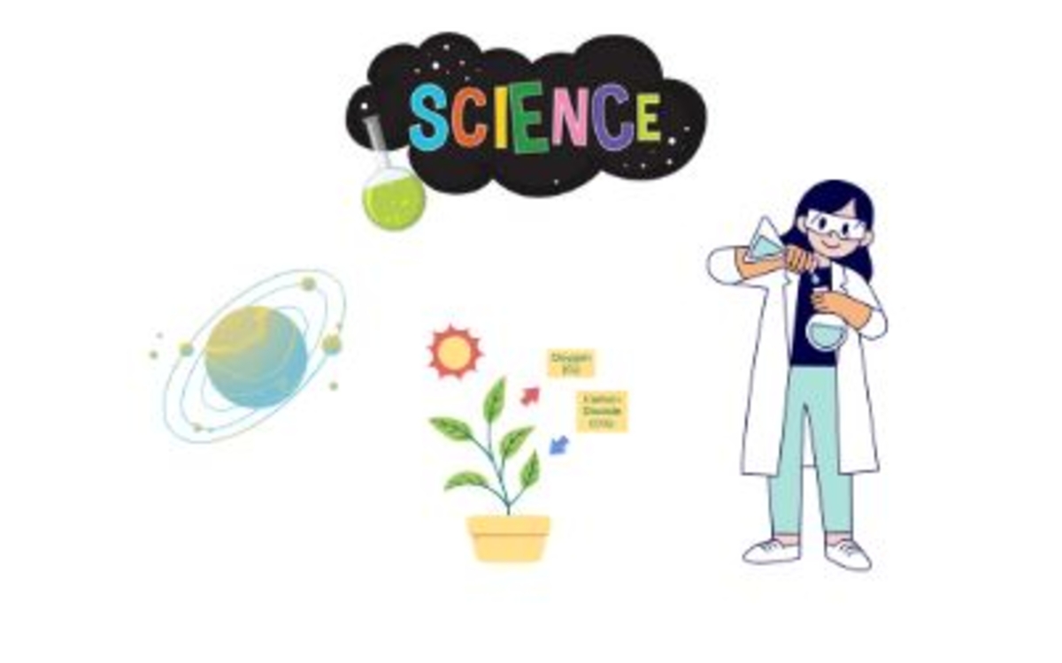 Graine de science : De la graine à la plante ! Bibliothèque Maurice Genevoix Paris