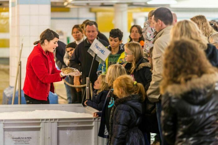 Haliotika – Criée du Guilvinec, Haliotika – Criée du Guilvinec, Le Guilvinec