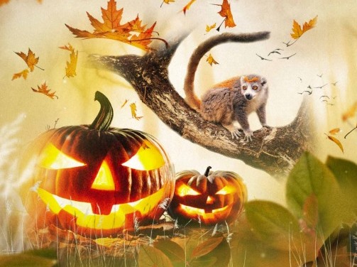 Halloween à la Haute-Touche Obterre