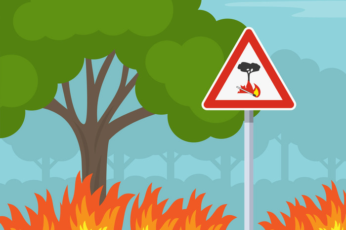 “Halte aux flammes”, Portes, Portes