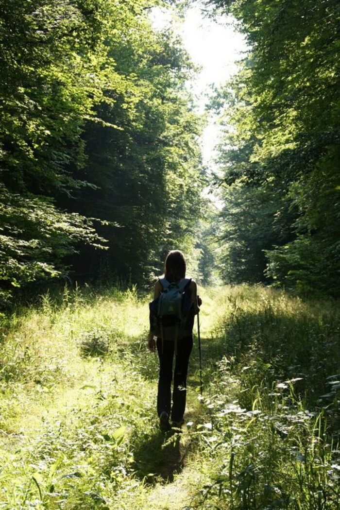 Histoire, légendes & forêt, Les Cabanes Flottantes – hébergements insolites, Givrauval