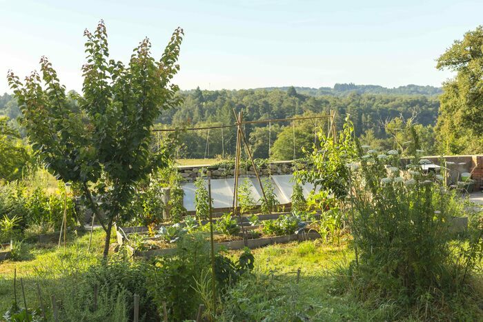 Imiter la forêt au jardin avec le jardin-forêt, Jardin-Forêt Les Blaireautin.e.s, Crozant