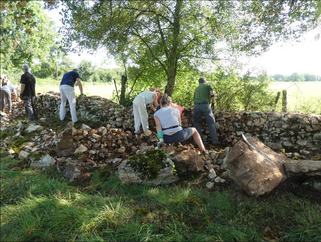 Initiation à la réfection de murets en pierre sèche  Espédaillac