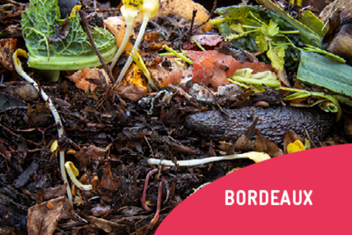Initiation au compostage, Maison de la nature et de l’environnement, Bordeaux