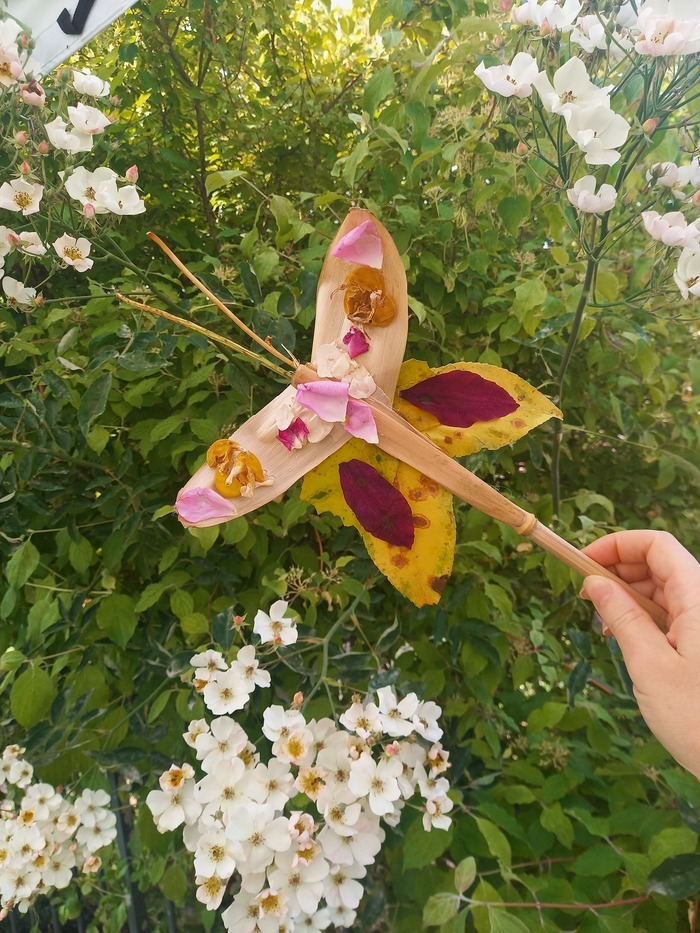 Insectes à la loupe, Musée de l&rsquo;outil, Wy-dit-Joli-Village