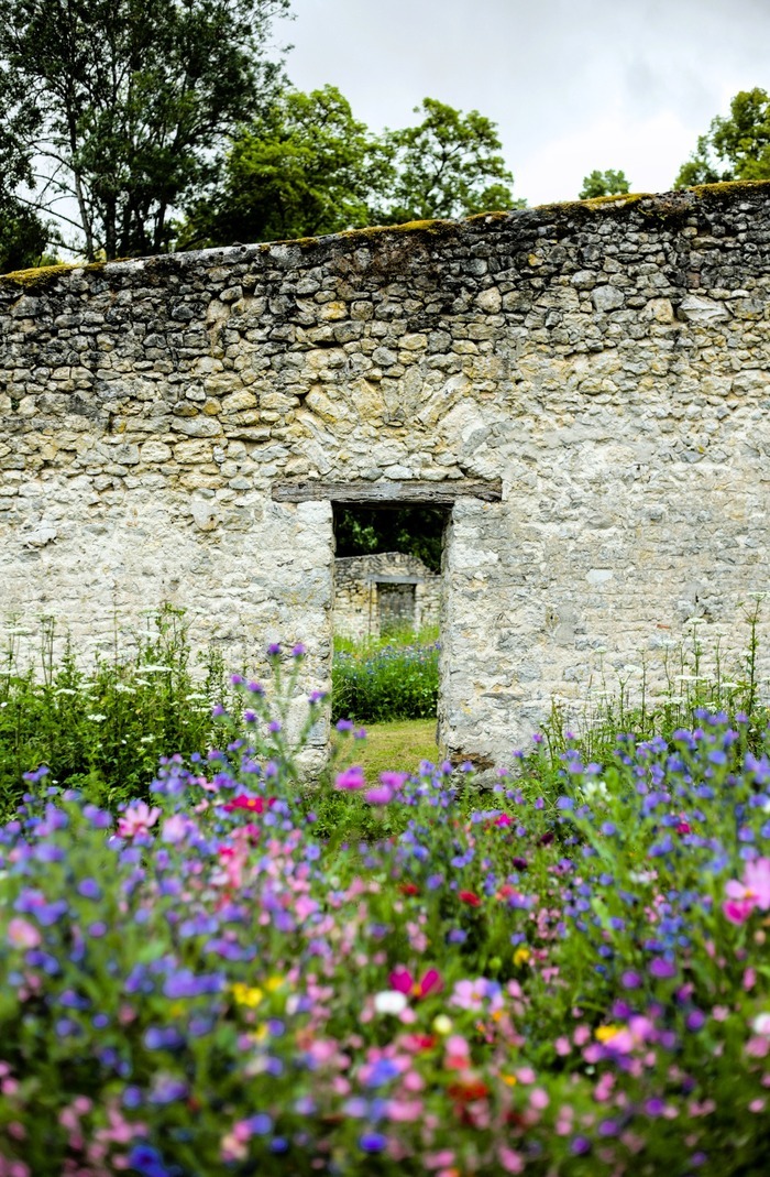 Installation : Couleurs au potager, Domaine départemental de Méréville, Le Mérévillois