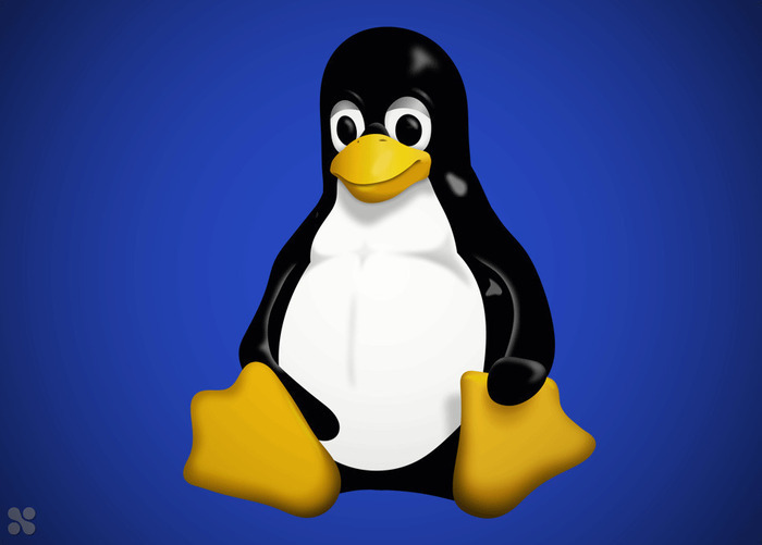 INSTALL’PARTY - De Windows à Linux