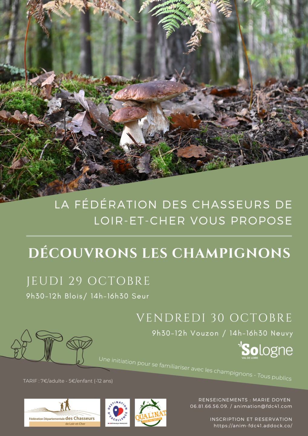 Instants Nature Découvrons les champignons à Seur  Seur