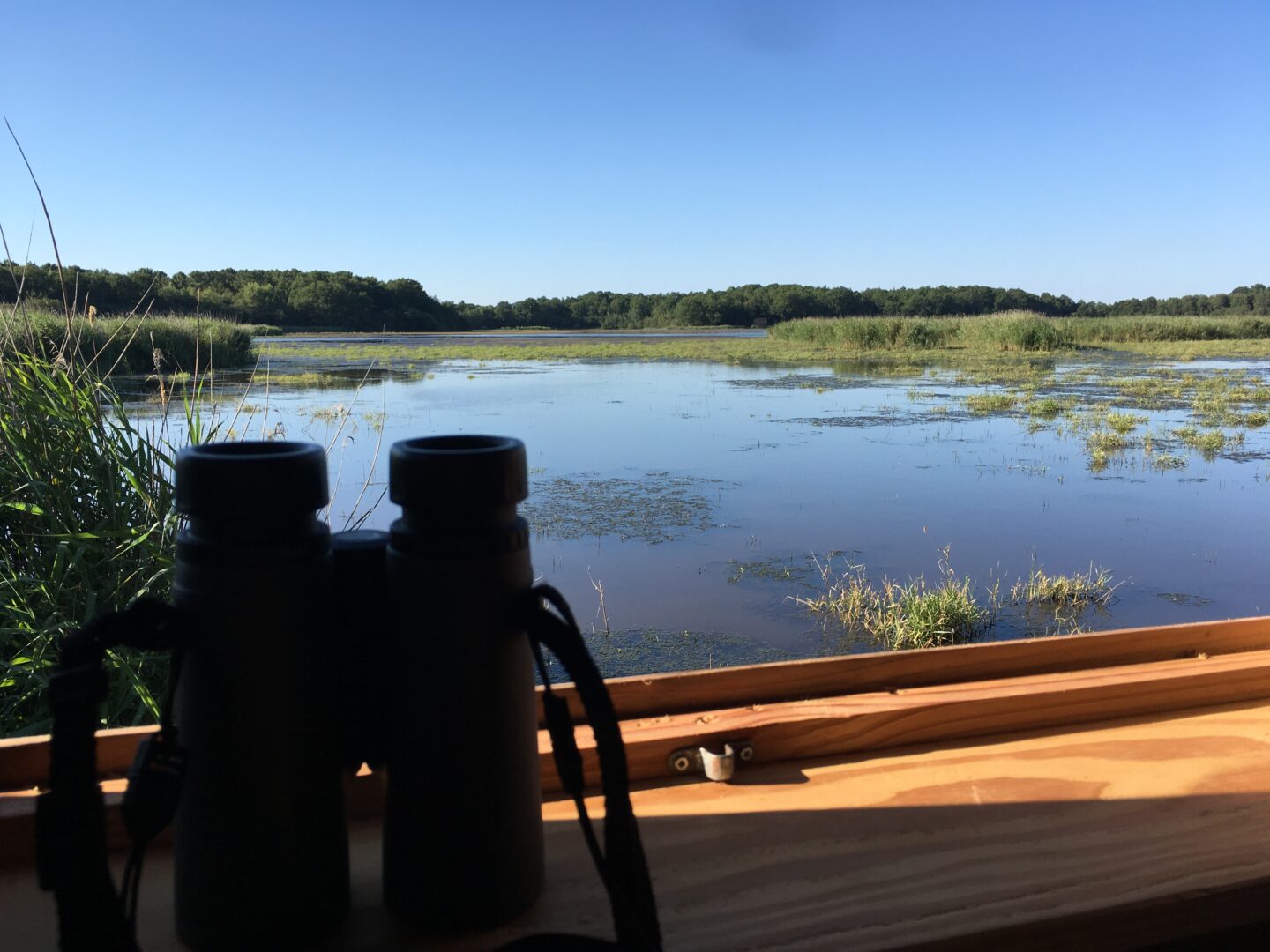 Instants Nature Malzoné, aux couleurs du printemps  Millançay