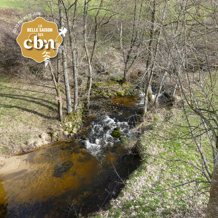 Inventaire général de la commune de Chenereilles – Haute-Loire, Chenereilles, Chenereilles