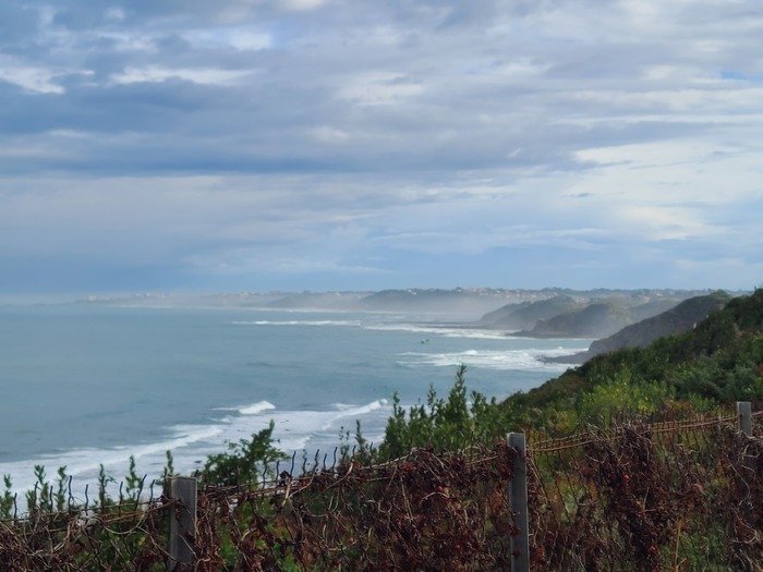 Invitation au voyage !, Jardin botanique littoral de Saint-Jean-de-Luz, Saint-Jean-de-Luz