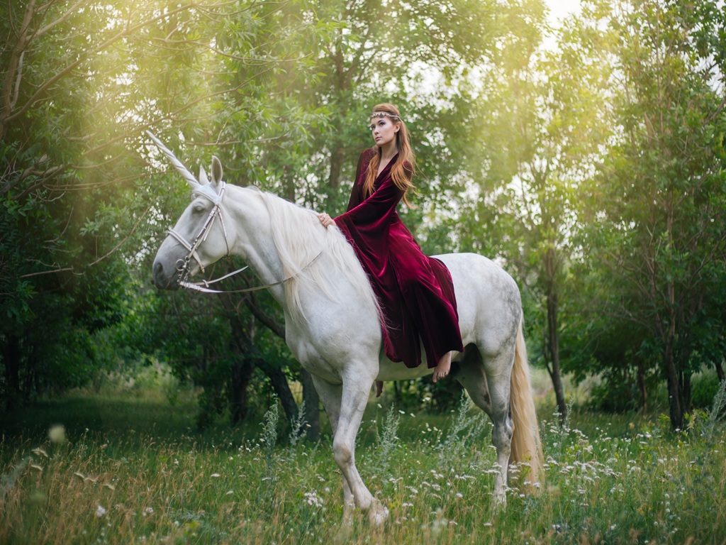 J&rsquo;AIME LES LICORNES  Le Barcarès