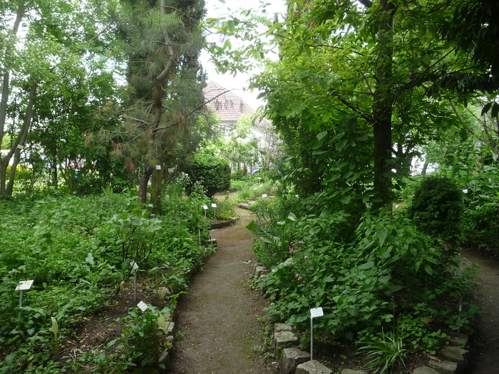 Jardin Botanique de Sannois Jardin botanique de Sannois Sannois
