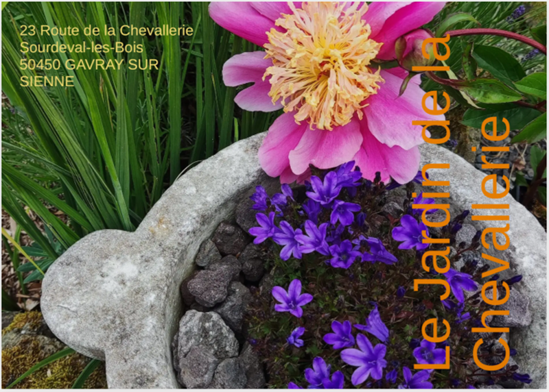 Jardin de la Chevallerie visite libre et concert du duo Cordes avides Sourdeval-les-Bois Gavray-sur-Sienne