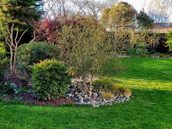 Jardin de LMG Rendez-vous aux jardins  Verneuil-sur-Vienne