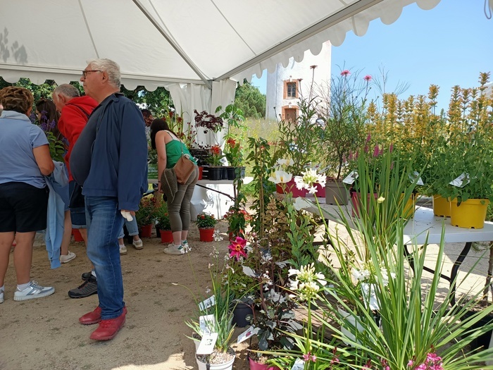 Jardin du Vent – Les épices, Jardin du Vent, Notre-Dame-de-Monts