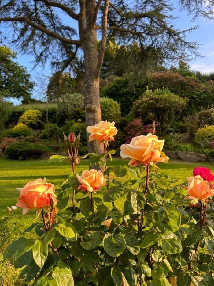 Jardins cachés de St. Pierre du Bois et la Forêt St Pierre du Bois Parish Church St. Pierre du Bois