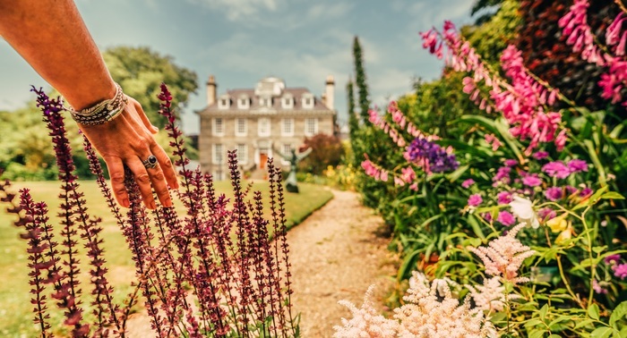 Jardins subtropicaux sauvages et sentier de découverte de la nature au manoir de Sausmarez Sausmarez Manor St Martin