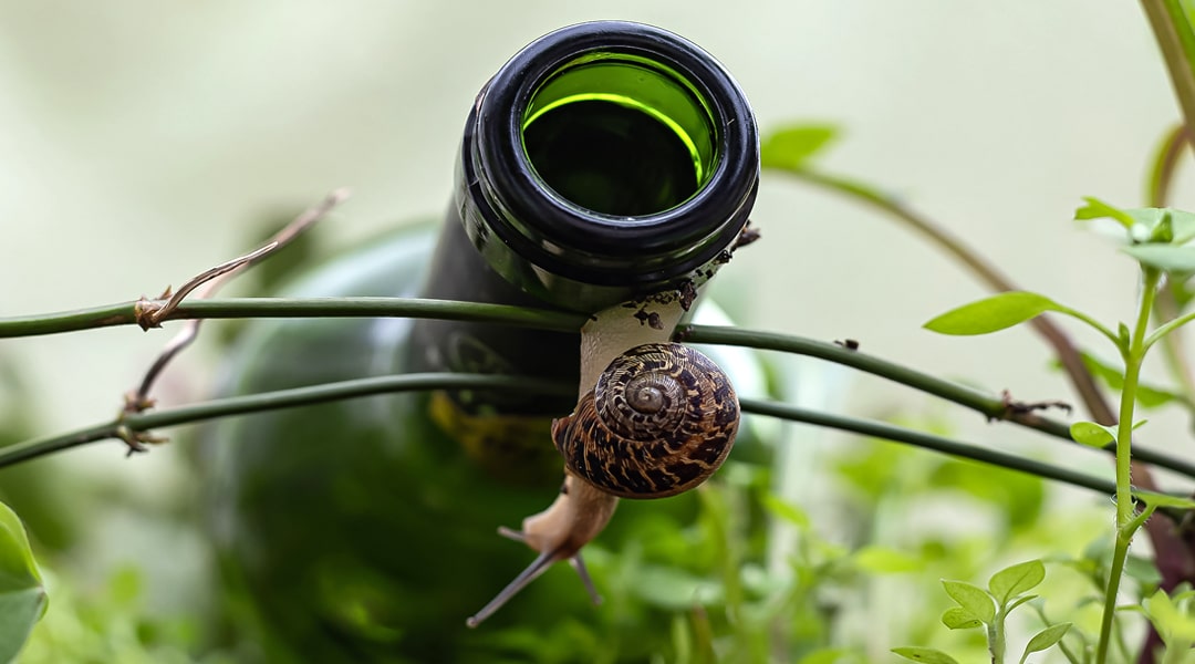 JEU DE PISTE À LA DÉCOUVERTE DE LA BIODIVERSITÉ ET DES PAYSAGES DU PONT DU DIABLE FÊTE DE LA NATURE Route d&rsquo;Aniane Saint-Jean-de-Fos