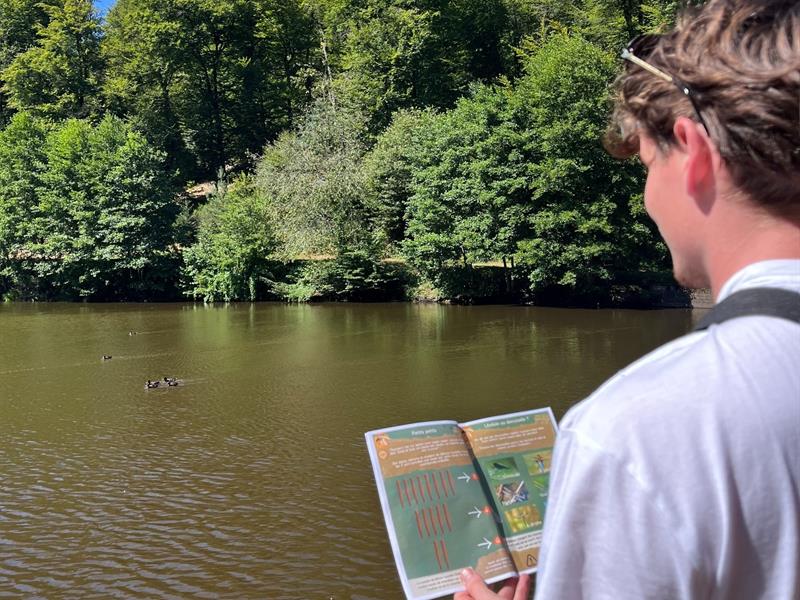 Jeu de piste à l&rsquo;étang de Donnenbach Frohmuhl Bas-Rhin