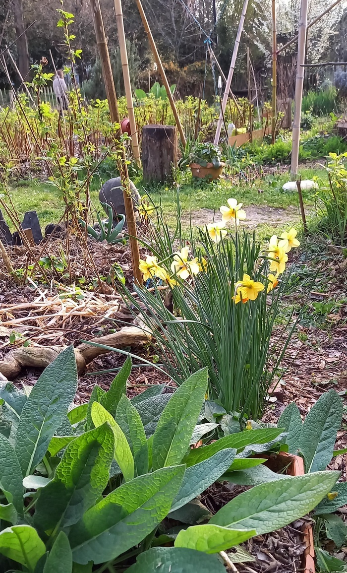 Jeu de piste au jardin Jardin de la Béchade Bordeaux