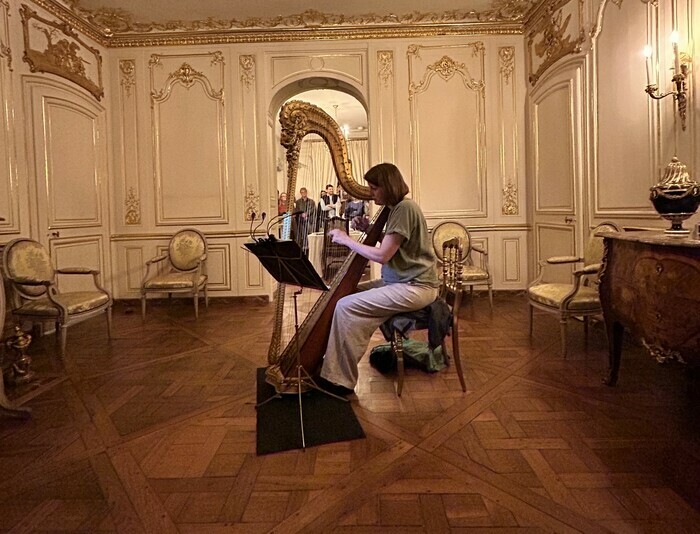 Jeu sur la harpe Naderman Musée Lambinet Versailles