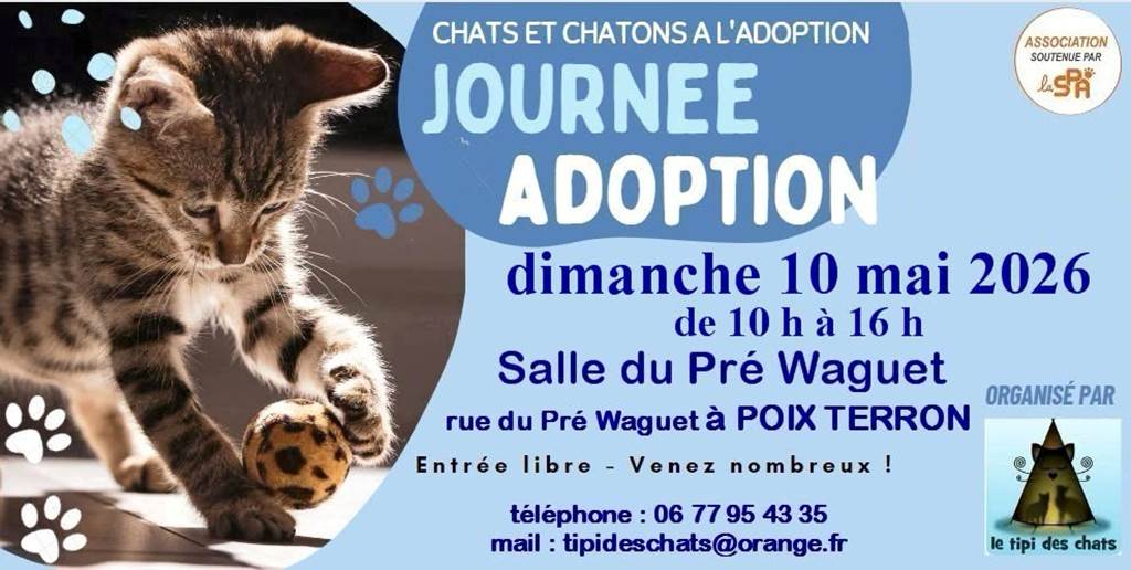 Journée adoption chats et chatons Salle du pré Waguet Poix-Terron 2026-05-10