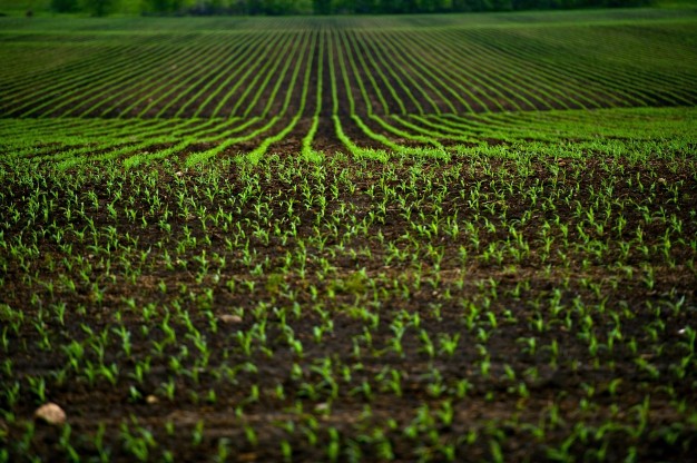 Journée de l&rsquo;agriculture Le Parcot Échourgnac