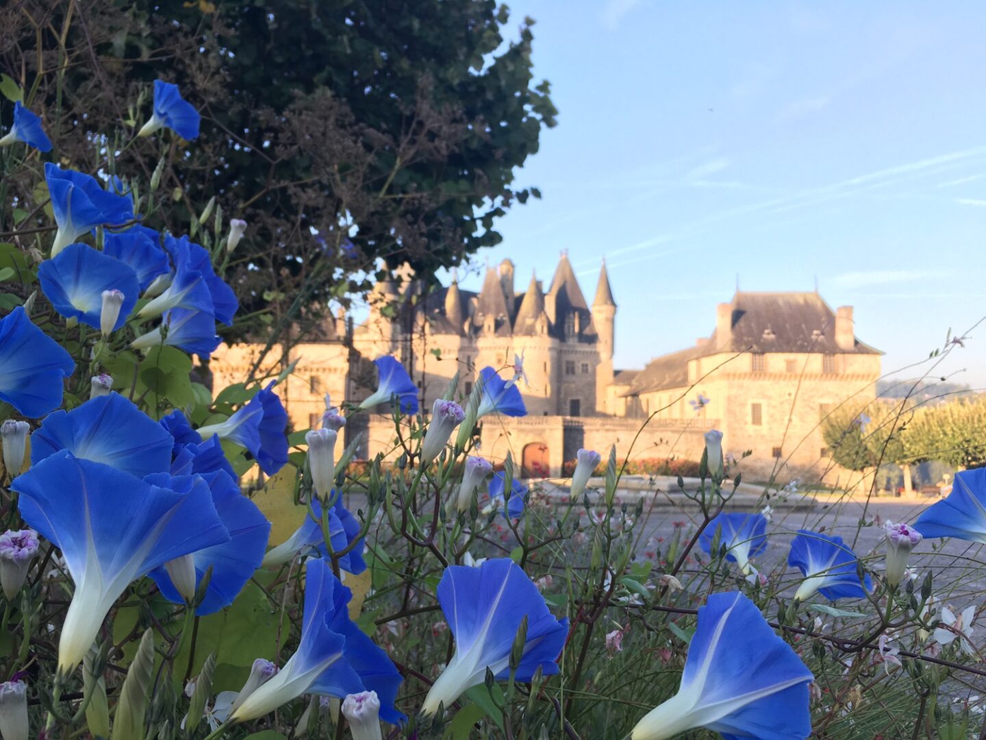 Journée des peintres de rues Place du Château Jumilhac-le-Grand 2026-07-19