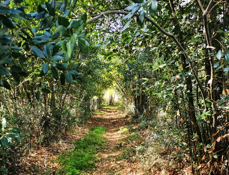 Journée Nature  Landiras