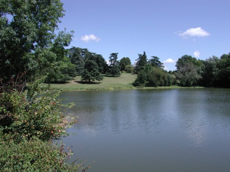 Journée pêche au lac des Faugères  Lavergne