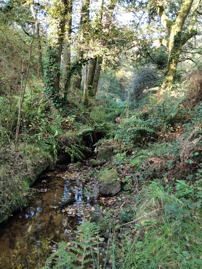 Journées du patrimoine de pays, Village de l&rsquo;an mil, Melrand