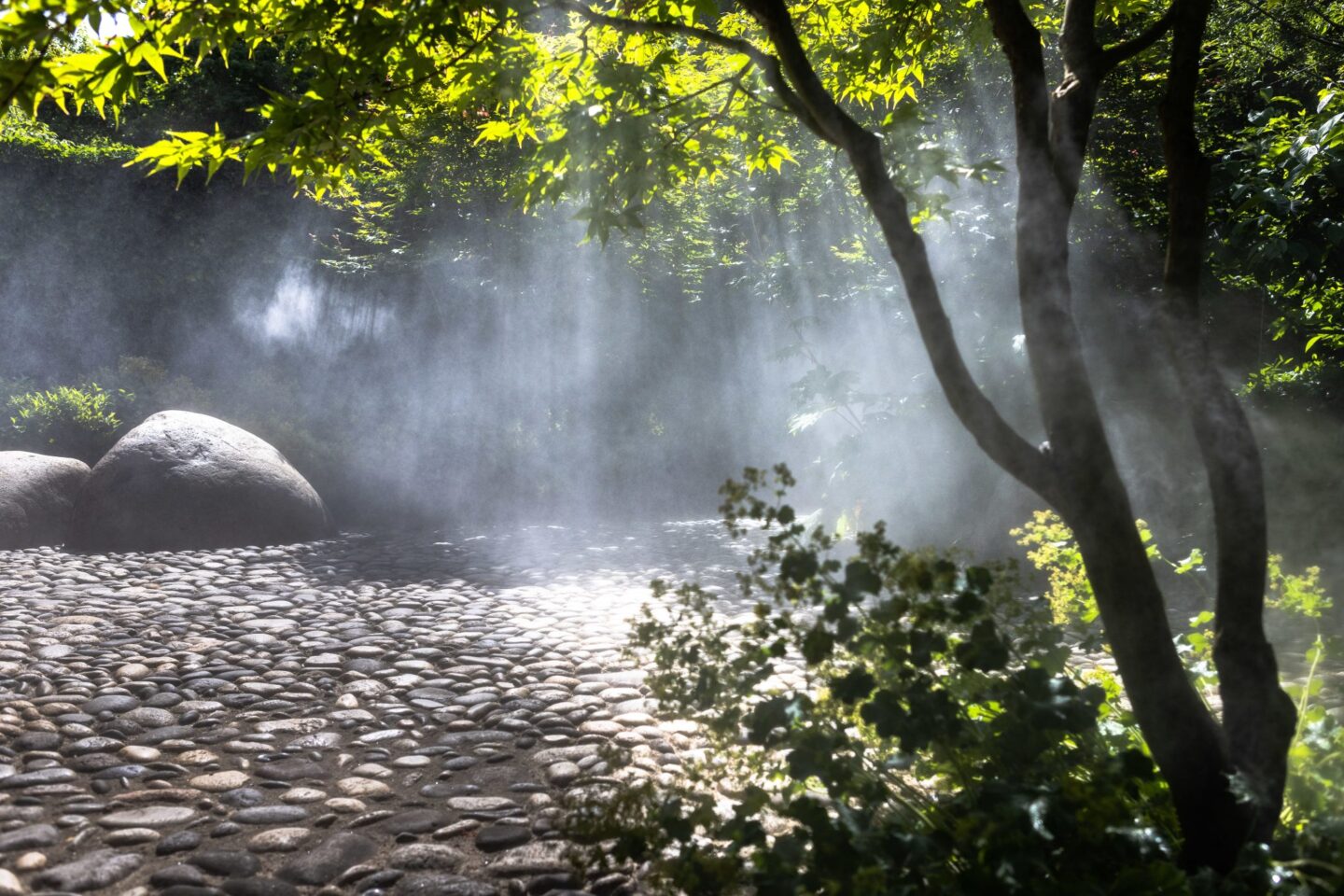 Journées Européennes du Patrimoine aux jardins Sothys  Auriac