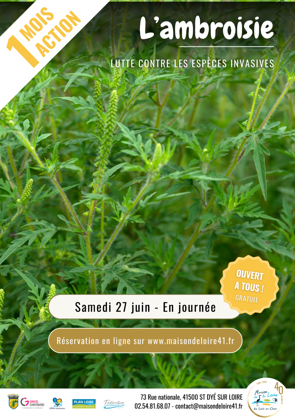 Juin Un Mois Une Action Lutte contre les espèces invasives Ambroisie avec la Maison de la Loire  Saint-Dyé-sur-Loire 2026-06-27