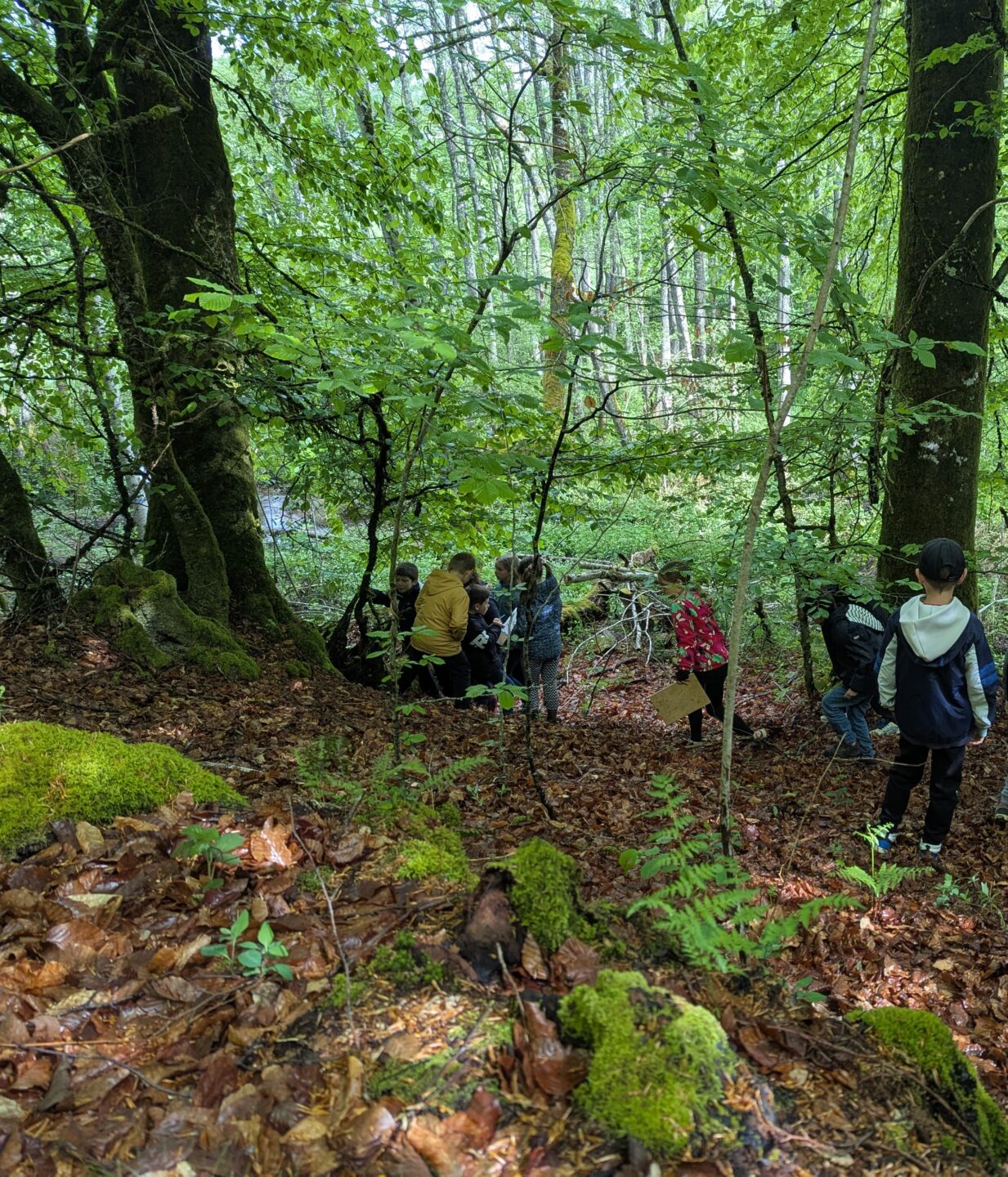 La balade des Grumelots Saint-Brisson