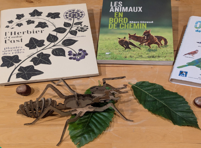 La biodiversité au pied de l’immeuble Bibliothèque Thabor-Lucien Rose Rennes