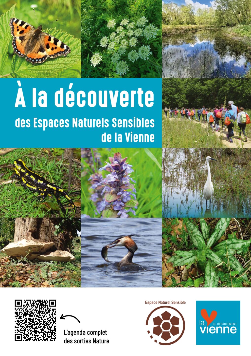 La biodiversité en automne  Valence-en-Poitou