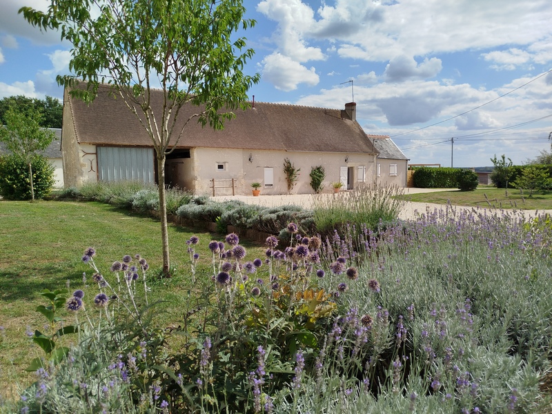 La Brenne à cheval circuits en marguerite au départ du Clos de la Fosse aux loups Paulnay Indre
