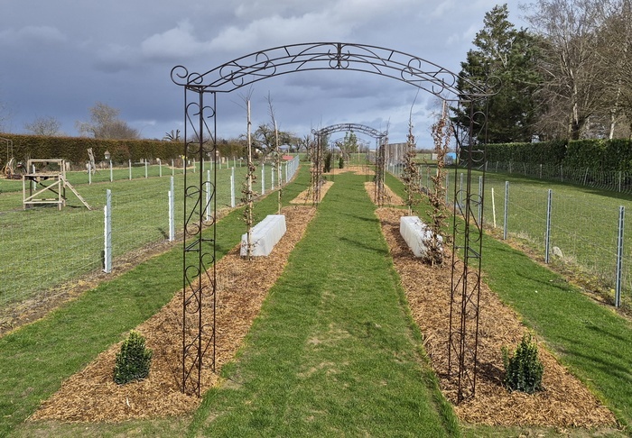 La dézerte et son évolution, La dézerte, Chevigny-en-Valière