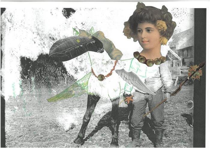 La fabrique à images, Archives municipales, Toulouse