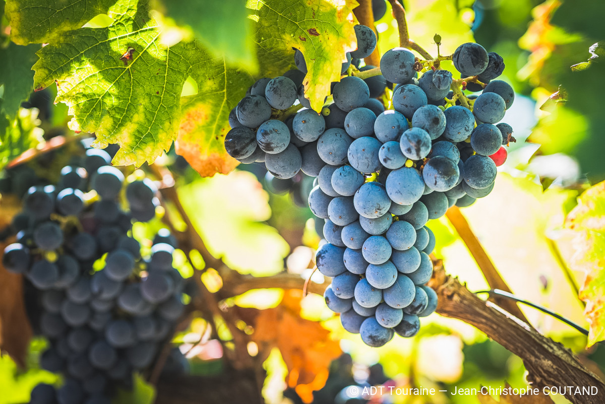 La familliale au Château de l&rsquo;Aulée  Azay-le-Rideau