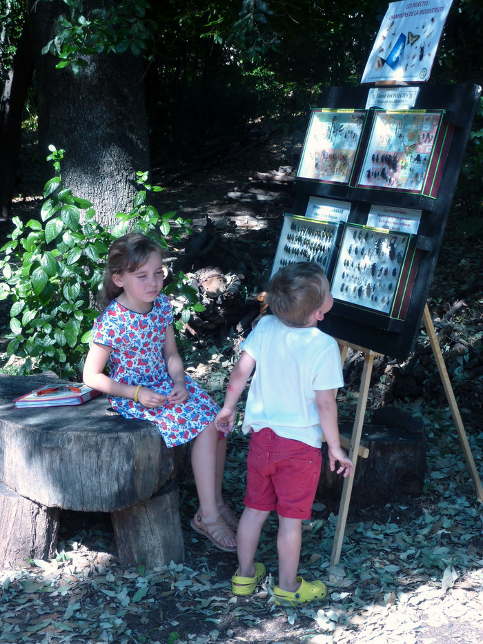 La Fête de la nature au Jardin Jardin de la Reine Montpellier