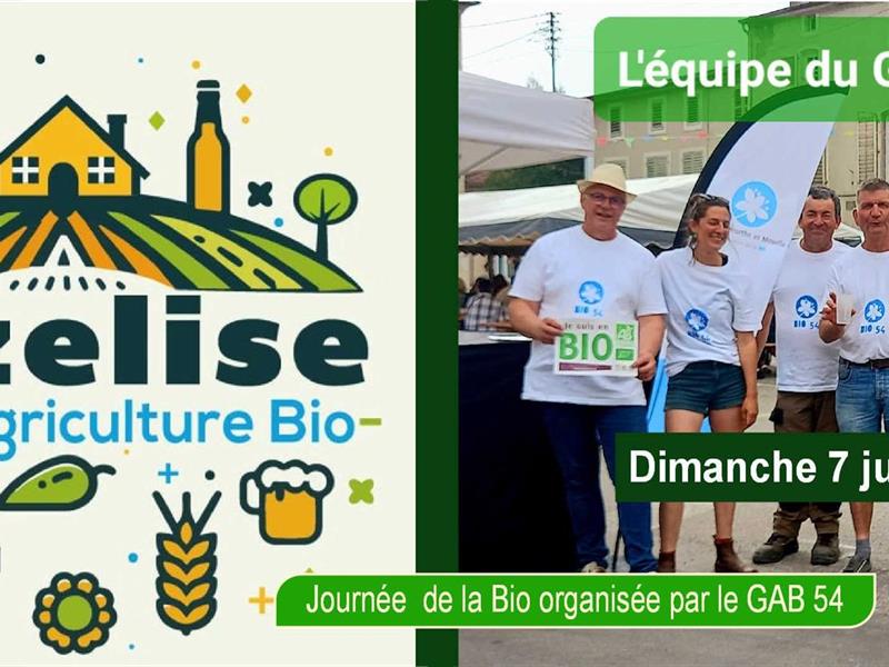 La fête de l&rsquo;agriculture bio  Vézelise